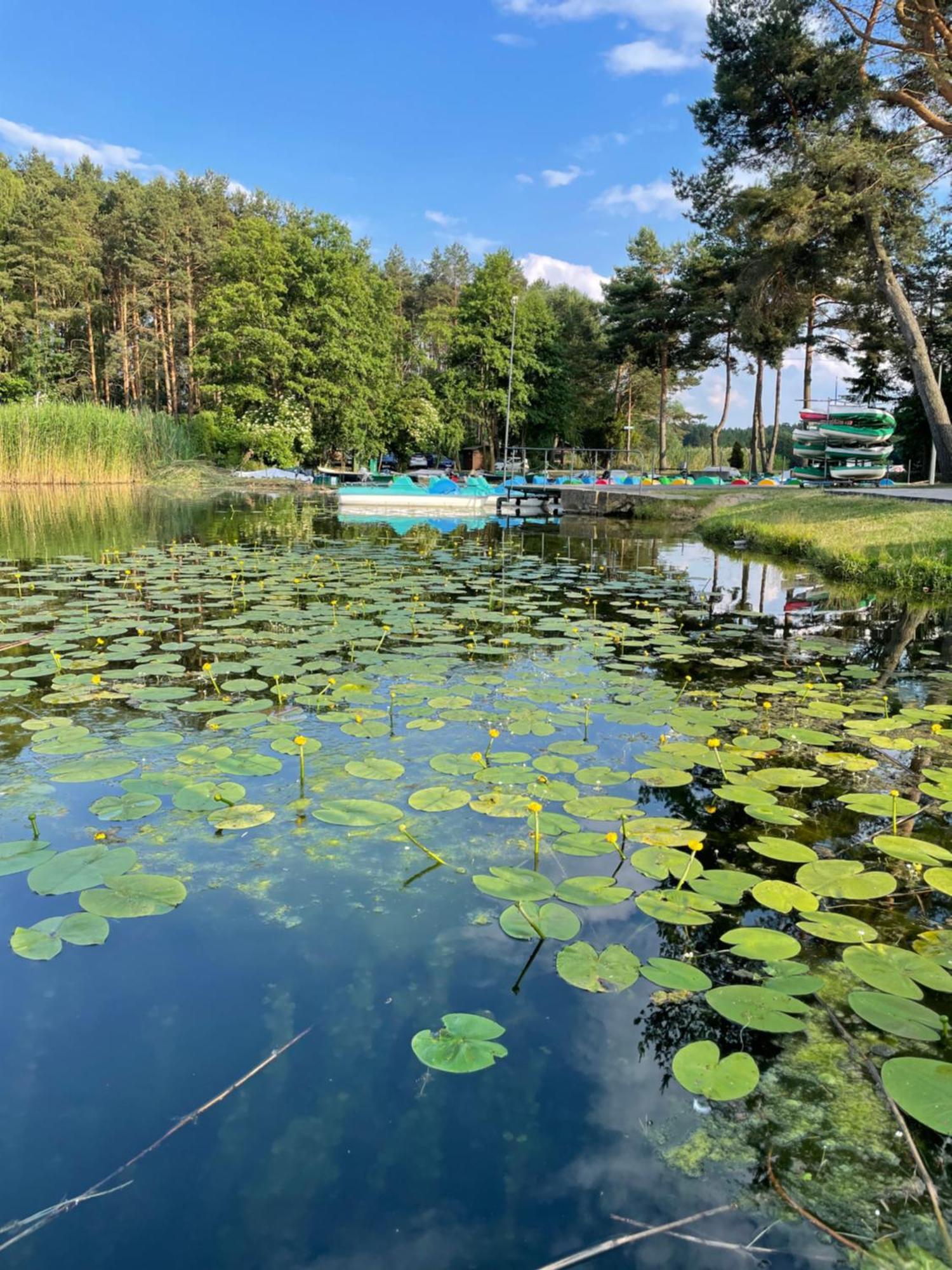 Osrodek Wypoczynkowy "Julia" W Samociazku Hotel Samociążek Exterior foto